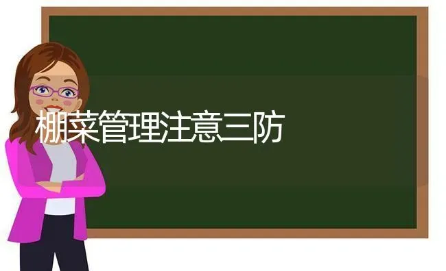 棚菜管理注意三防 | 蔬菜种植