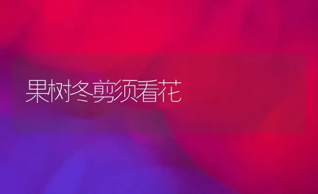 果树冬剪须看花 | 瓜果种植