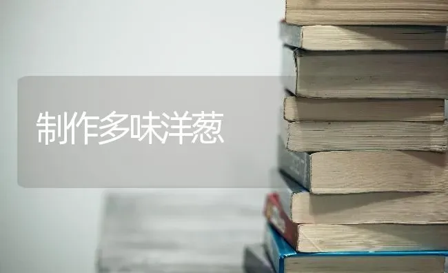 制作多味洋葱 | 瓜果种植