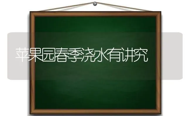 苹果园春季浇水有讲究 | 瓜果种植