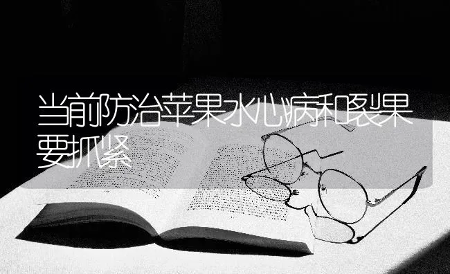 当前防治苹果水心病和裂果要抓紧 | 瓜果种植