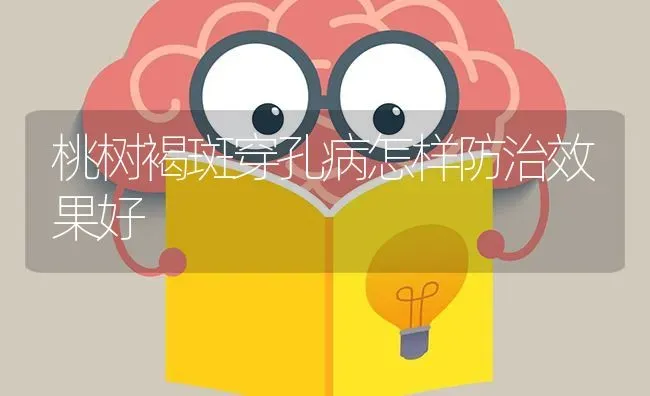 桃树褐斑穿孔病怎样防治效果好 | 瓜果种植