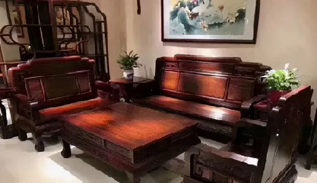 树干|世界上最贵的木材排名第一名（最值钱最珍贵的木材排行榜）