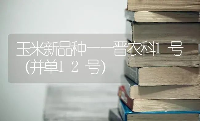 玉米新品种——晋农科1号（并单12号） | 粮油作物种植