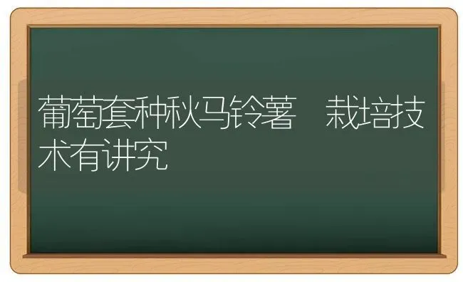 葡萄套种秋马铃薯 栽培技术有讲究 | 瓜果种植