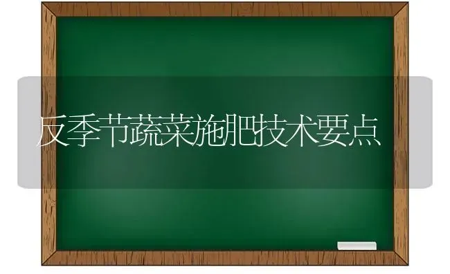 反季节蔬菜施肥技术要点 | 蔬菜种植