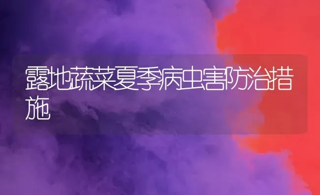 露地蔬菜夏季病虫害防治措施 | 蔬菜种植
