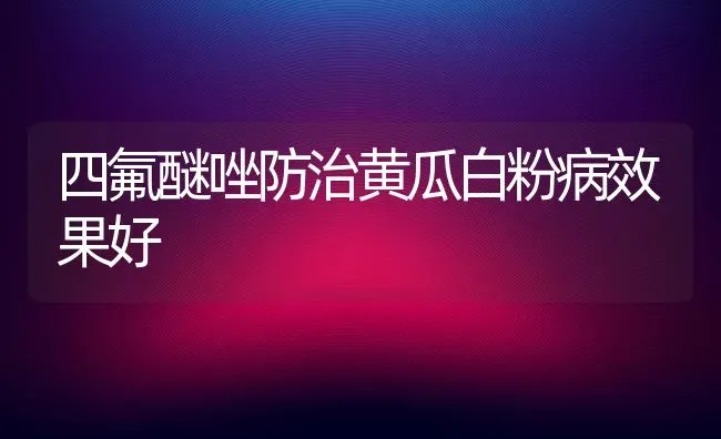 四氟醚唑防治黄瓜白粉病效果好 | 瓜果种植