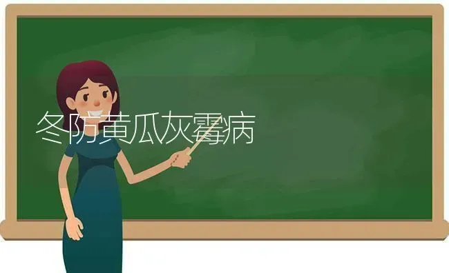 冬防黄瓜灰霉病 | 蔬菜种植