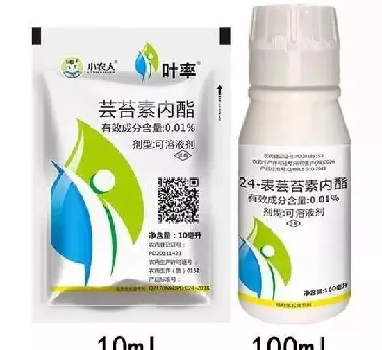 喷药|芸苔素内酯和复硝酚钠哪个好（两者有什么区别）