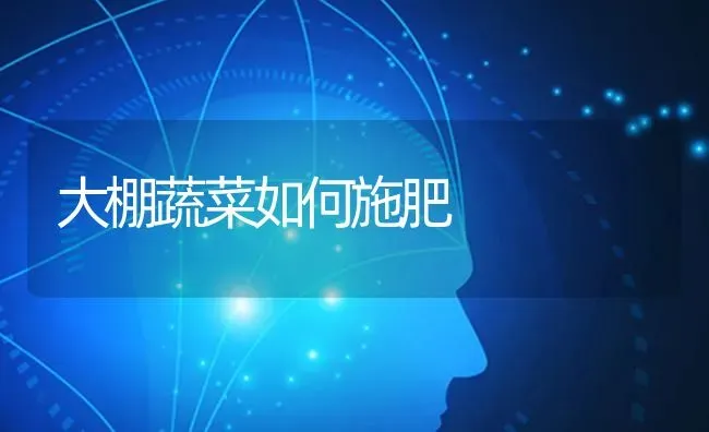 大棚蔬菜如何施肥 | 蔬菜种植