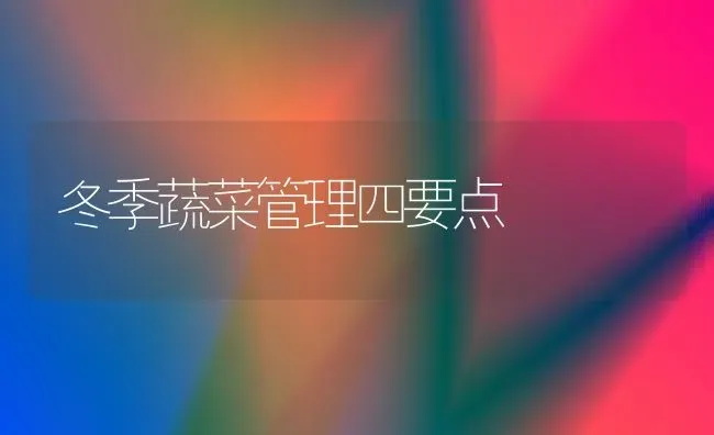 冬季蔬菜管理四要点 | 蔬菜种植