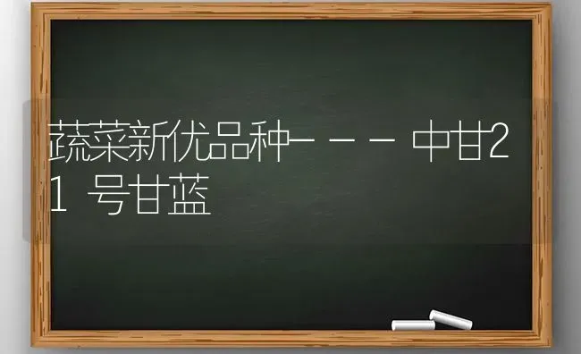 蔬菜新优品种---中甘21号甘蓝 | 蔬菜种植