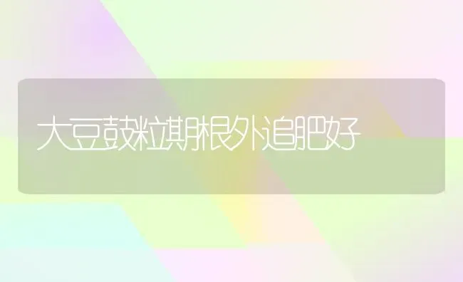 大豆鼓粒期根外追肥好 | 粮油作物种植