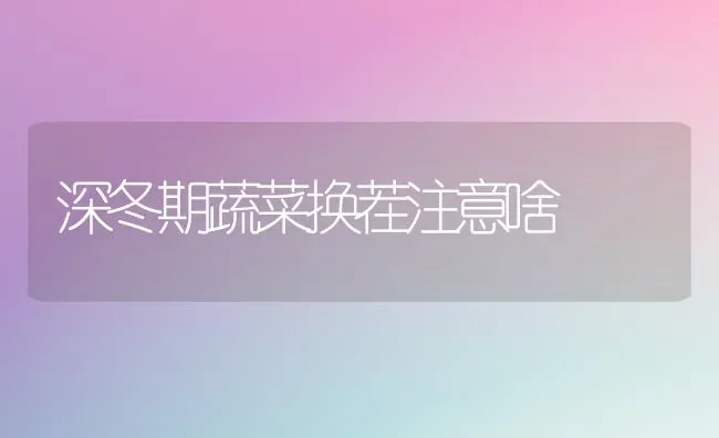 深冬期蔬菜换茬注意啥 | 蔬菜种植