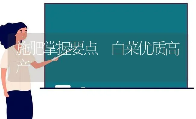 施肥掌握要点 白菜优质高产 | 种植肥料施肥