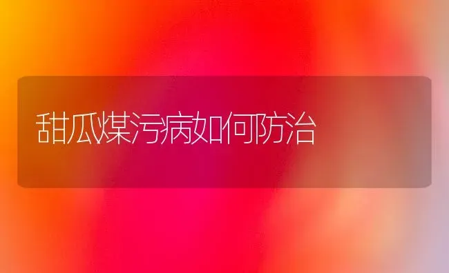 甜瓜煤污病如何防治 | 瓜果种植