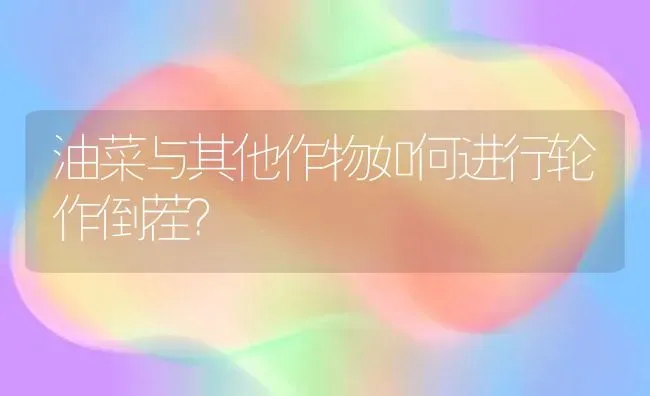 遭遇倒春寒 水稻育秧咋应对 | 粮油作物种植