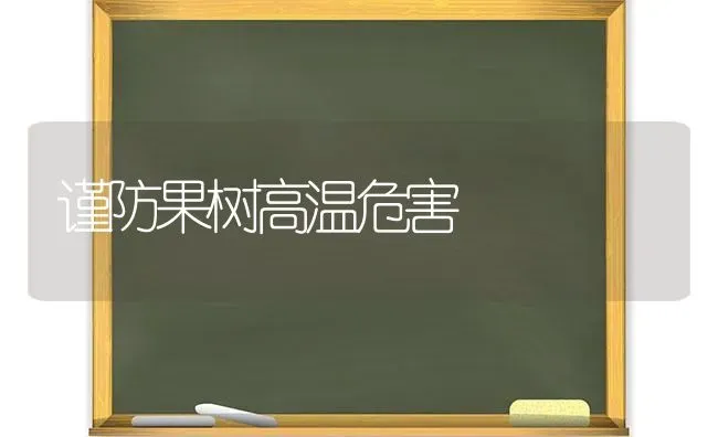 谨防果树高温危害 | 瓜果种植