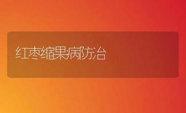 红枣缩果病防治 | 瓜果种植