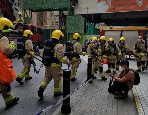 养殖科普|香港铜锣湾世贸中心突发大火 全部人员已获救