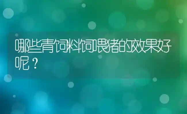 哪些青饲料饲喂猪的效果好呢？ | 瓜果种植