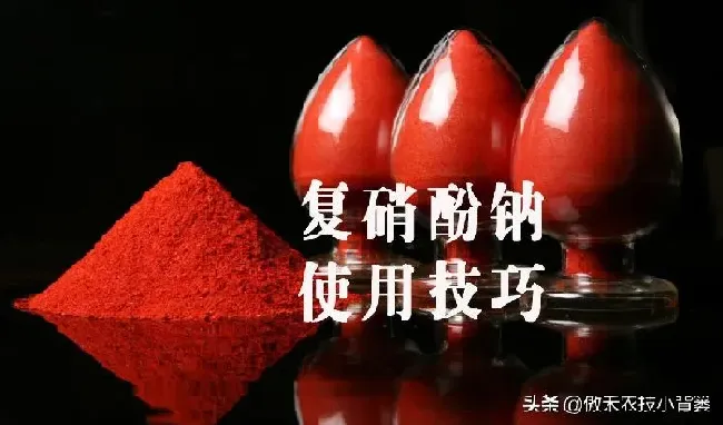 喷药|芸苔素内酯和复硝酚钠哪个好（两者有什么区别）