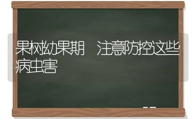 果树幼果期 注意防控这些病虫害 | 瓜果种植