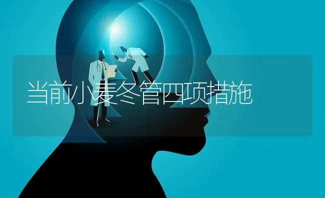 当前小麦冬管四项措施 | 粮油作物种植