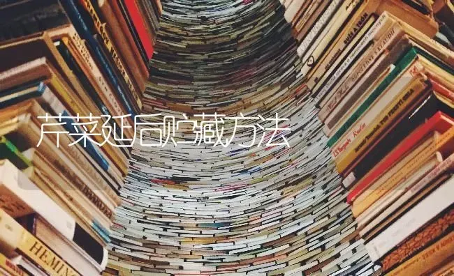 芹菜延后贮藏方法 | 蔬菜种植