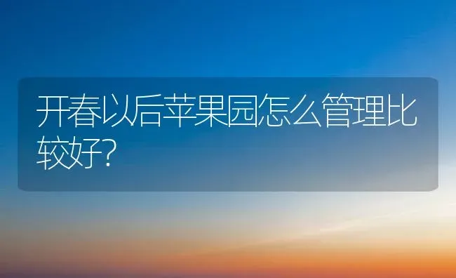 开春以后苹果园怎么管理比较好？ | 瓜果种植