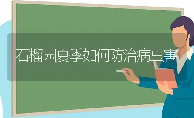 石榴园夏季如何防治病虫害 | 种植病虫害防治