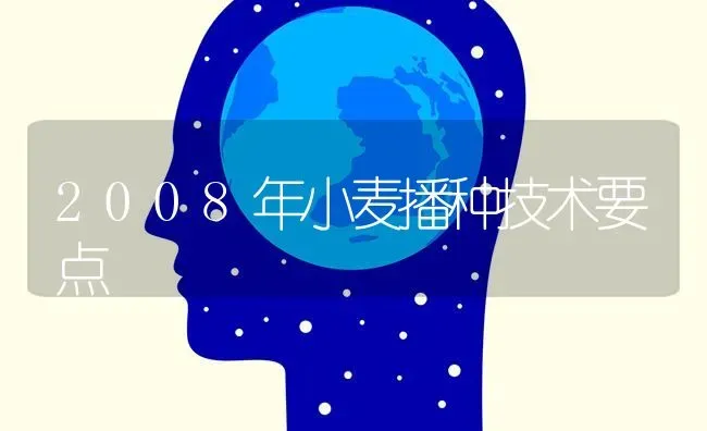 2008年小麦播种技术要点 | 粮油作物种植