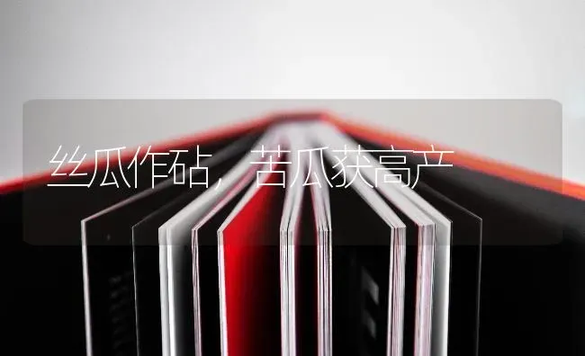 丝瓜作砧，苦瓜获高产 | 蔬菜种植