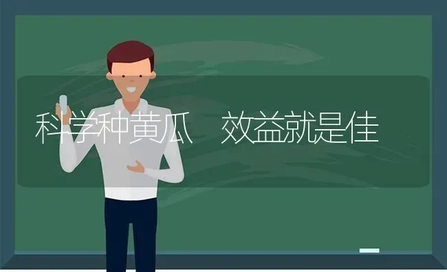 科学种黄瓜 效益就是佳 | 蔬菜种植