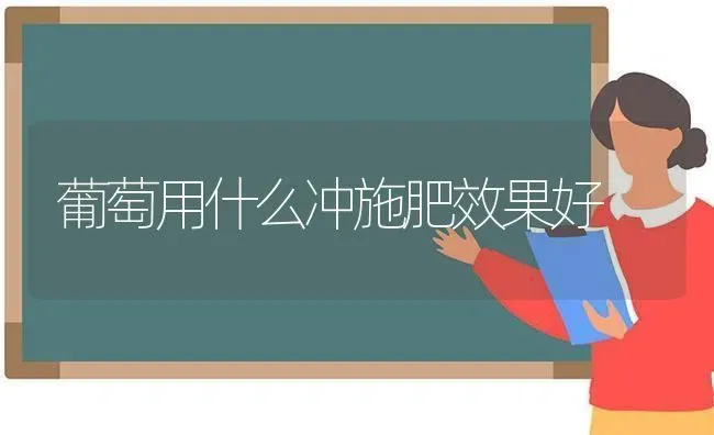 葡萄用什么冲施肥效果好 | 瓜果种植