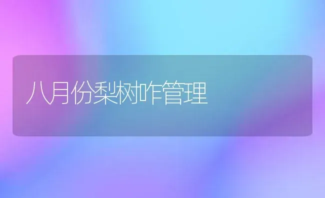 八月份梨树咋管理 | 瓜果种植
