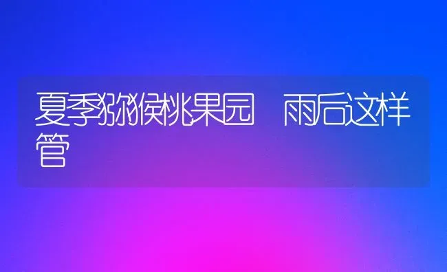 夏季猕猴桃果园 雨后这样管 | 瓜果种植