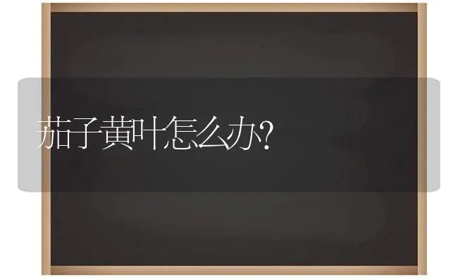 茄子黄叶怎么办? | 蔬菜种植