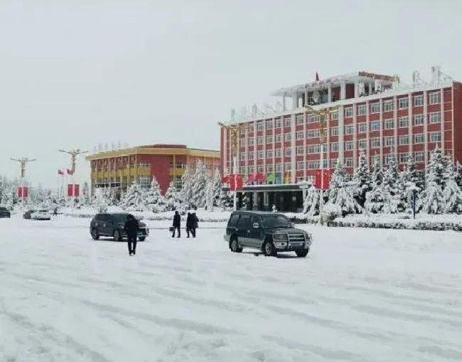 冬天植物|内蒙古呼伦贝尔突降大雪 呼伦贝尔下大雪了！