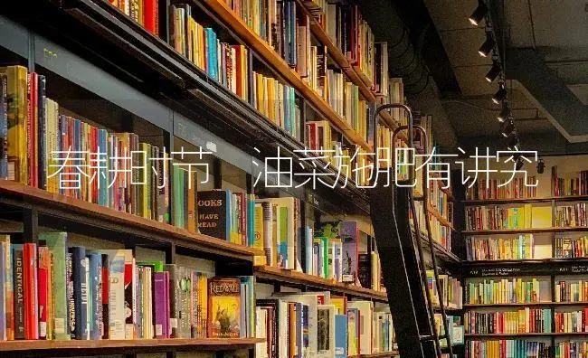 春耕时节 油菜施肥有讲究 | 粮油作物种植