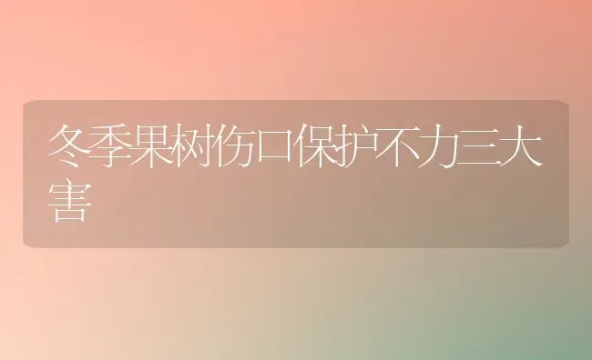 冬季果树伤口保护不力三大害 | 瓜果种植