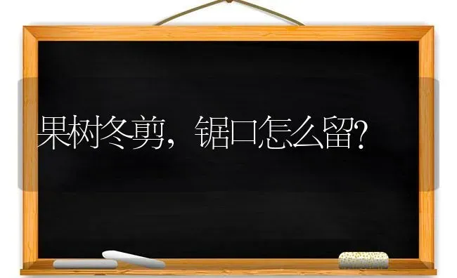 果树冬剪，锯口怎么留？ | 瓜果种植