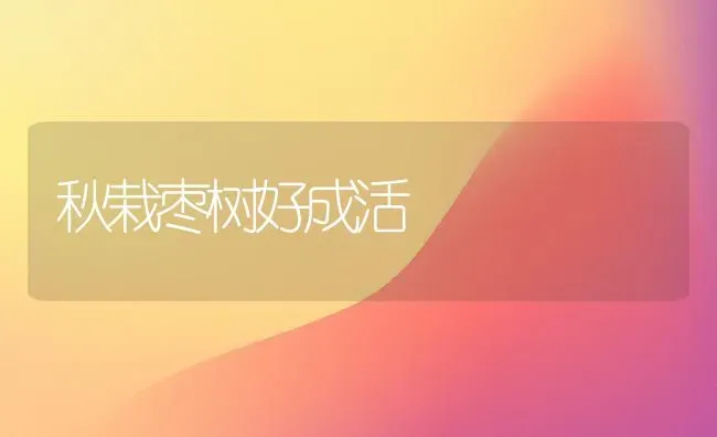 秋栽枣树好成活 | 瓜果种植