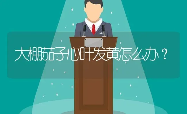 大棚茄子心叶发黄怎么办？ | 蔬菜种植