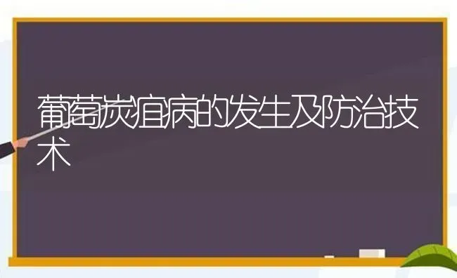 葡萄炭疽病的发生及防治技术 | 瓜果种植