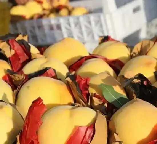 食用常识|黄桃是发物吗 是不是属于发物食物