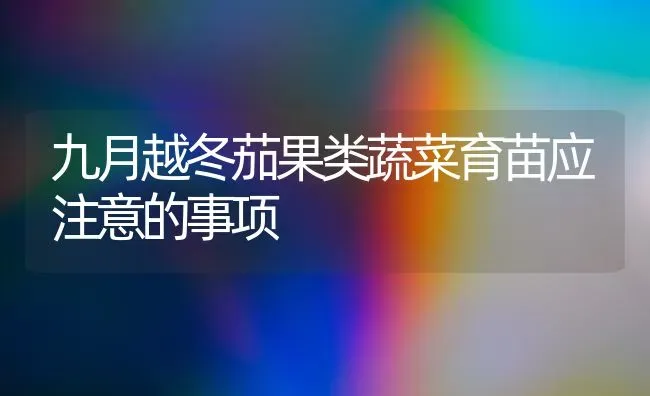 九月越冬茄果类蔬菜育苗应注意的事项 | 蔬菜种植