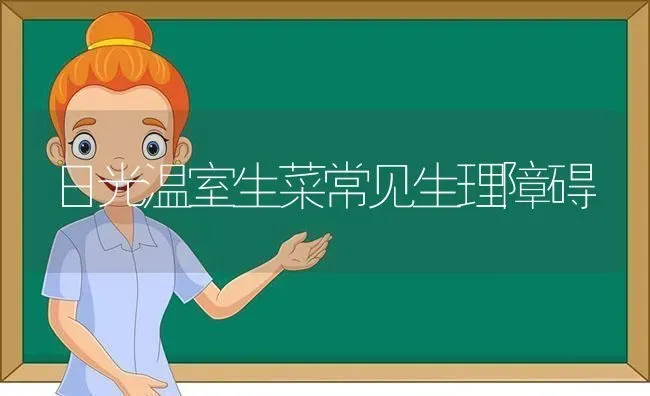 日光温室生菜常见生理障碍 | 蔬菜种植