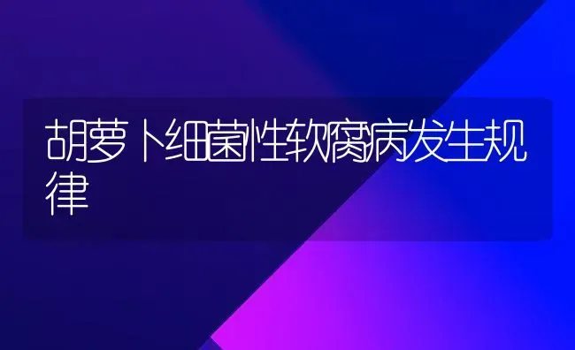 胡萝卜细菌性软腐病发生规律 | 蔬菜种植